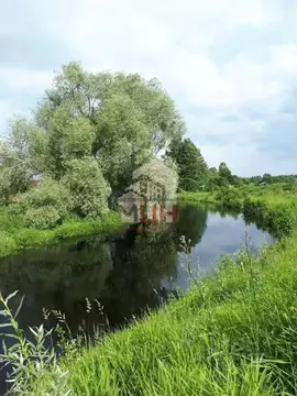 Участок в Тверская область, Конаковский муниципальный округ, д. Крутец ...