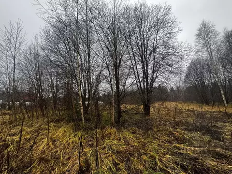 Участок в Московская область, Рузский муниципальный округ, д. Булыгино ...