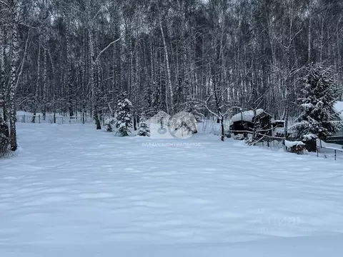 Участок в Новосибирская область, Новосибирский район, Барышевский ...