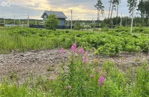 Участок в Московская область, Раменский муниципальный округ, КП Фенино ...