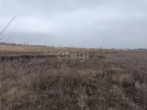 Участок в Курская область, Курский район, Клюквинский сельсовет, с. ...