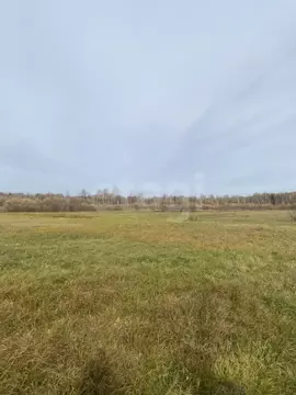 Участок в Свердловская область, Слободо-Туринский район, ...