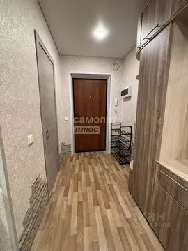 Студия Воронежская область, Воронеж Минская ул., 19/2 (23.4 м)