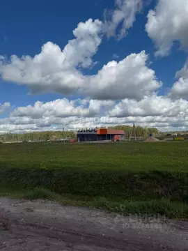 Участок в Марий Эл, Медведевский район, Руэмское с/пос, д. Нолька  ...