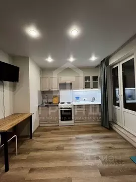 Студия Ленинградская область, Мурино Всеволожский район, ул. ...