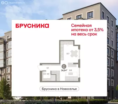 Квартира-студия: городской посёлок Новоселье, ЖК Брусника (34.56 м)