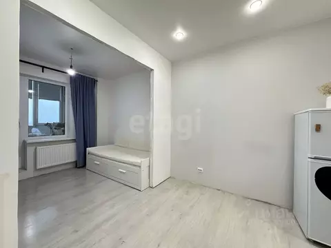 Студия Санкт-Петербург пос. Шушары, пер. Вилеровский, 6 (23.3 м)