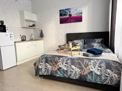 1-к кв. Свердловская область, Екатеринбург ул. Амундсена, 5 (27.0 м)