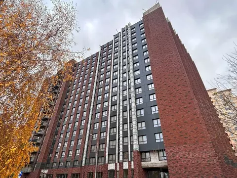 Студия Московская область, Мытищи Троицкая ул., 3Г (31.2 м)