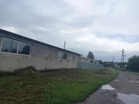 Помещение свободного назначения в Алтайский край, Барнаул городской ...