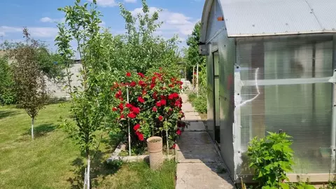 Дом в Волгоградская область, Волгоград Осень СНТ, ул. 3-я, 55 (40 м)