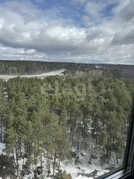 3-к кв. Калужская область, Калуга Анненки мкр, ул. Анненки, 38к1 (84.0 ...