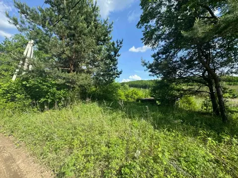 Участок в Амурская область, Благовещенск  (29.0 сот.)