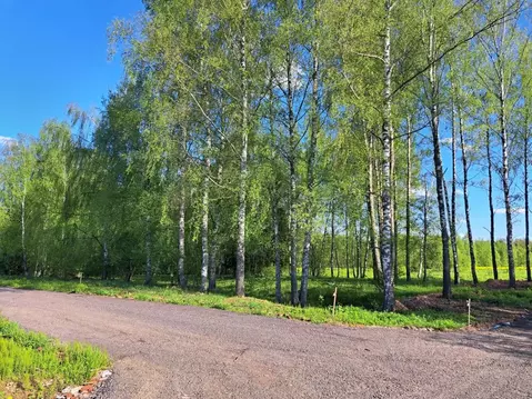 Участок в Московская область, Дмитровский муниципальный округ, д. ...