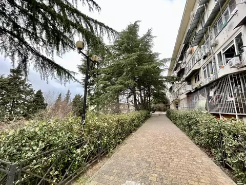 Студия Краснодарский край, Сочи Адлер жилрайон, ул. Голубые Дали, 74 ...