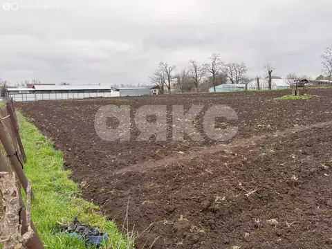 Участок в Кореновский район, Платнировское сельское поселение, станица ...