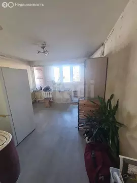 1-комнатная квартира: Тюмень, Олимпийская улица, 20 (16.6 м)