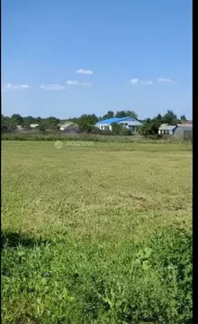 Участок в Чувашия, Чебоксарский муниципальный округ, д. Чиршкасы ...