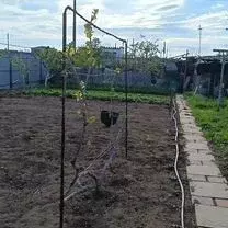 Участок в Крым, Сакский район, Штормовское с/пос, с. Крыловка ул. Мира ...