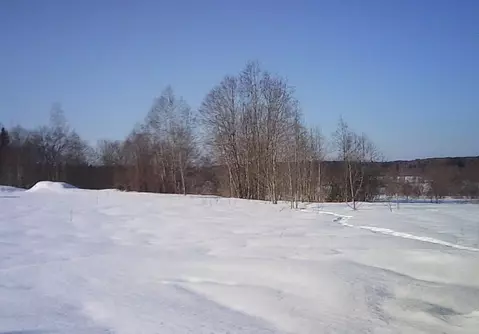 Участок в Московская область, Шаховская муниципальный округ, д. ...