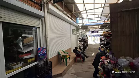 Помещение свободного назначения в Краснодарский край, Краснодар ...