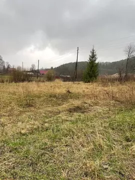 Дом в Пермский край, пос. Ильинский ул. Молодежная, 6 (69 м)