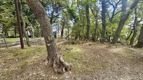 Участок в Крым, Алупка ул. Калинина (6.0 сот.)