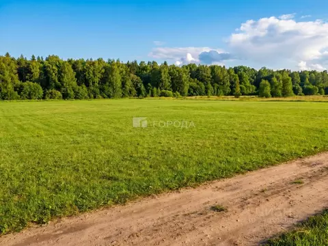Участок в Алтайский край, Первомайский район, пос. Бажево ул. Луговая ...