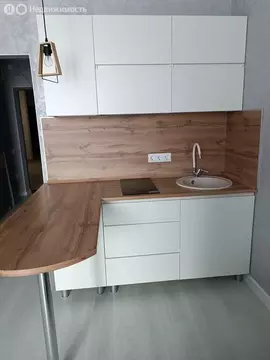 Квартира-студия: Анапа, Рождественская улица, 55к1 (29 м)