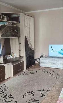 1-к кв. Камчатский край, Елизово ул. Завойко, 114 (35.9 м)