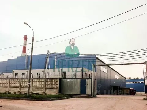 Склад в Московская область, Королев Силикатная ул., 67 (5000 м)