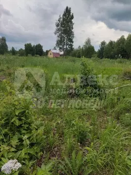 Участок в Тюменская область, Нижнетавдинский район, Виктория ТСН ул. ...