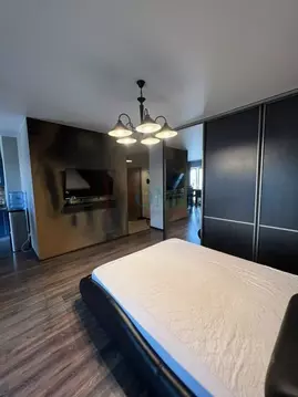 1-к кв. Новосибирская область, Новосибирск ул. Шевченко, 15 (45.0 м)