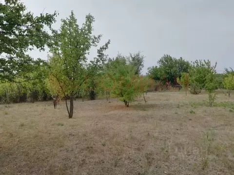 Участок в Ростовская область, Новочеркасск Троицкая пл. (10.0 сот.)