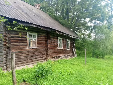 Участок в Псковская область, Пушкиногорский район, Велейская волость, ...