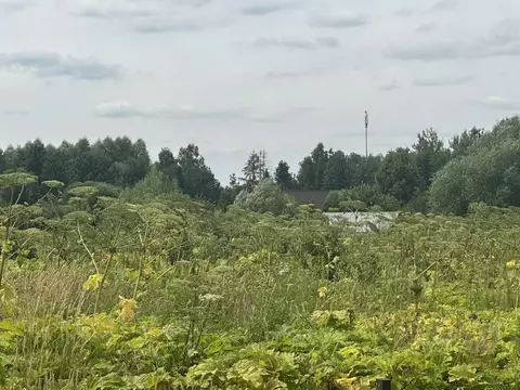 Участок в Московская область, Рузский муниципальный округ, д. Шелковка ...