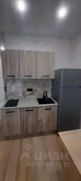 Студия Пензенская область, Пенза ул. Шмидта, 7 (30.0 м)