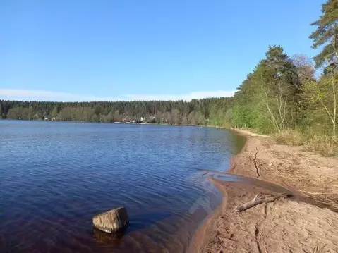 Участок в Ленинградская область, Выборгский район, Приморское ...