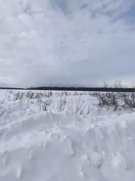 Участок в Тюменская область, Нижнетавдинский муниципальный округ, ...