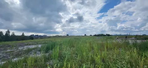 Участок в Ленинградская область, Всеволожский район, Агалатовское ...