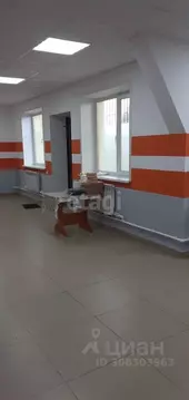 Торговая площадь в Вологодская область, Шекснинский район, пос. ...