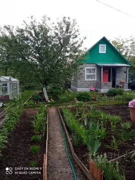 Дом в Белгородская область, Яковлевский муниципальный округ, Томаровка ...