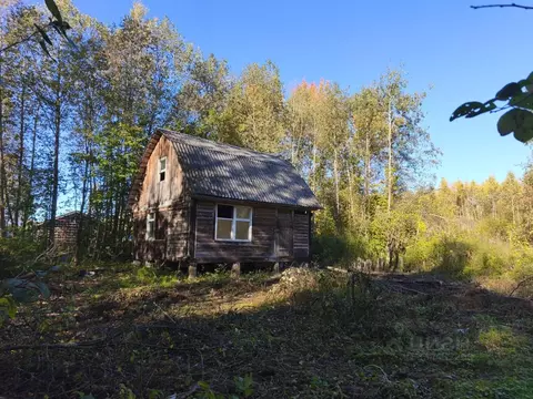 Дом в Московская область, Клин городской округ, Лесное СНТ  (53 м)