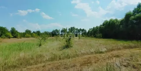 Участок в Воронежская область, Рамонский район, Березовское с/пос, д. ...