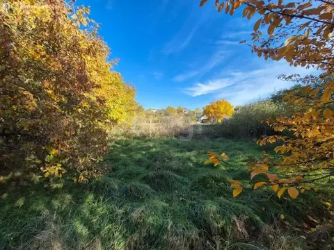 Участок в Молодёжное, СНТ Аграрник, Уютная улица (10.36 м)