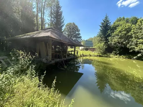 Участок в Москва пос. Станции Мачихино, Синяя Птица СНТ,  (30.16 сот.)