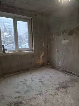 3-к кв. Нижегородская область, Нижний Новгород Березовская ул., 104 ...