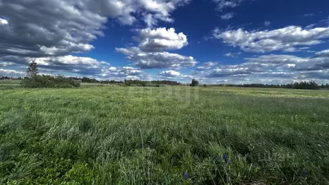 Участок в Псковская область, Печорский муниципальный округ, д. Машково ...