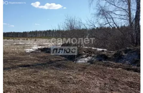 Участок в Челябинская область, Сосновский муниципальный округ, деревня ...