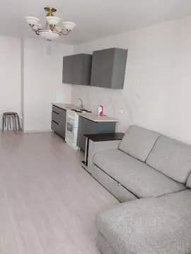 Студия Ростовская область, Ростов-на-Дону ул. Юрия Дубинина (25.0 м)